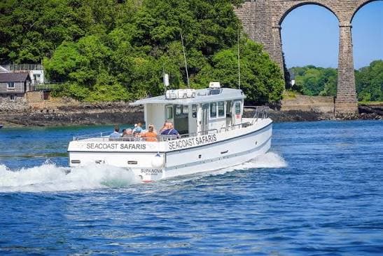 Boat Trips & the Strait