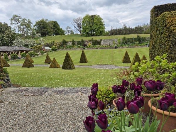 Plas Cadnant Hidden Gardens photo 3