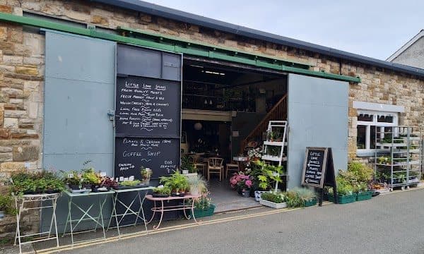 Little Lane Stores Garden & Greenery